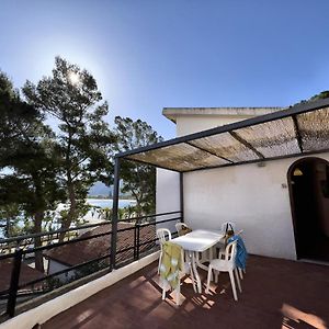 Testa di Monaco - Basic Beach Apartments